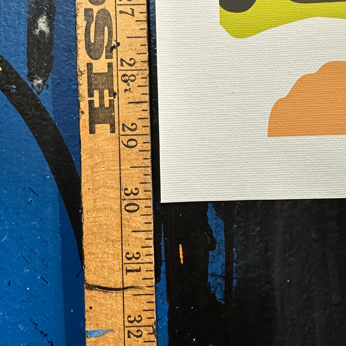 Friends 15" x 30" Canvas Print