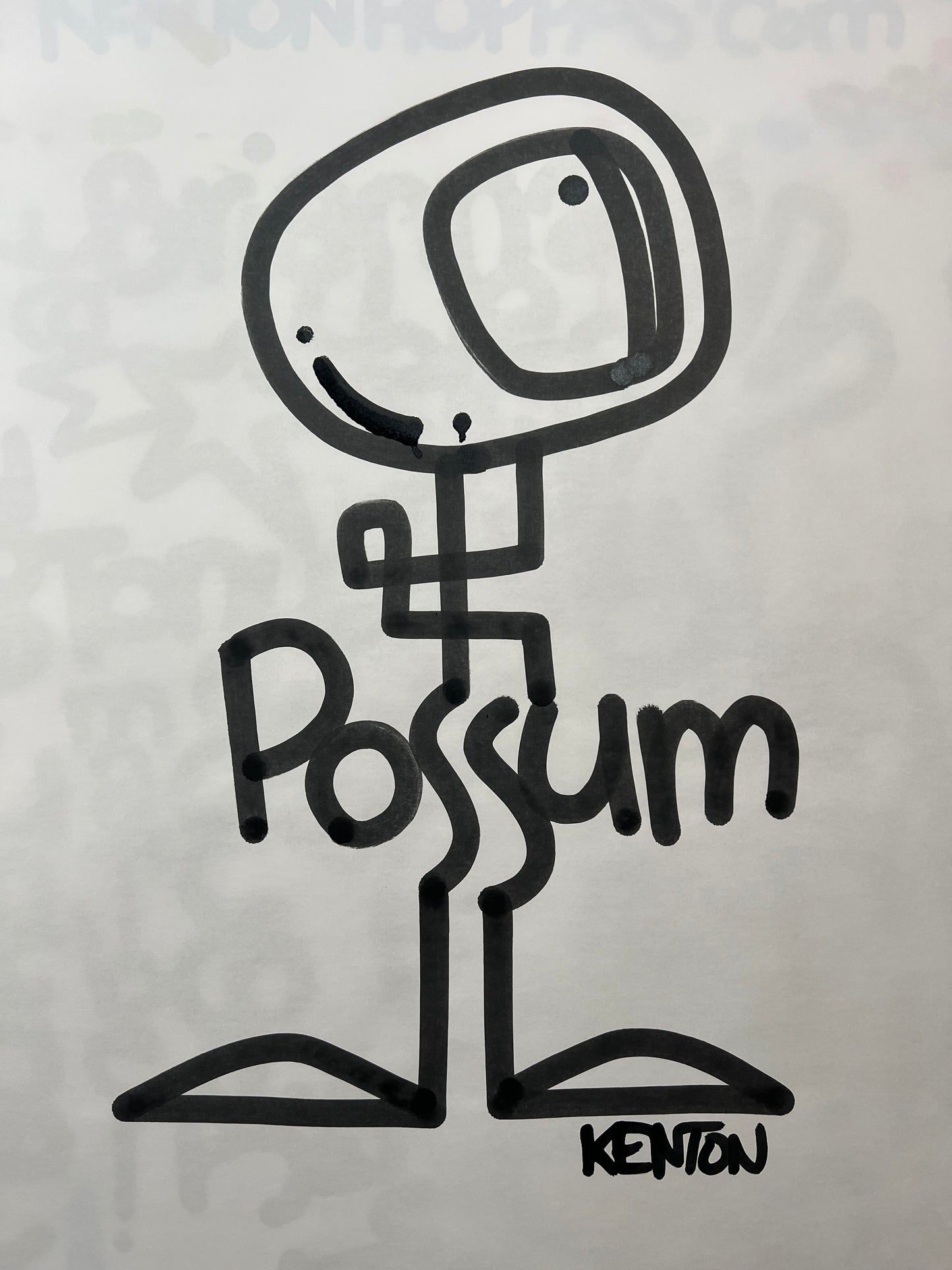 Possum