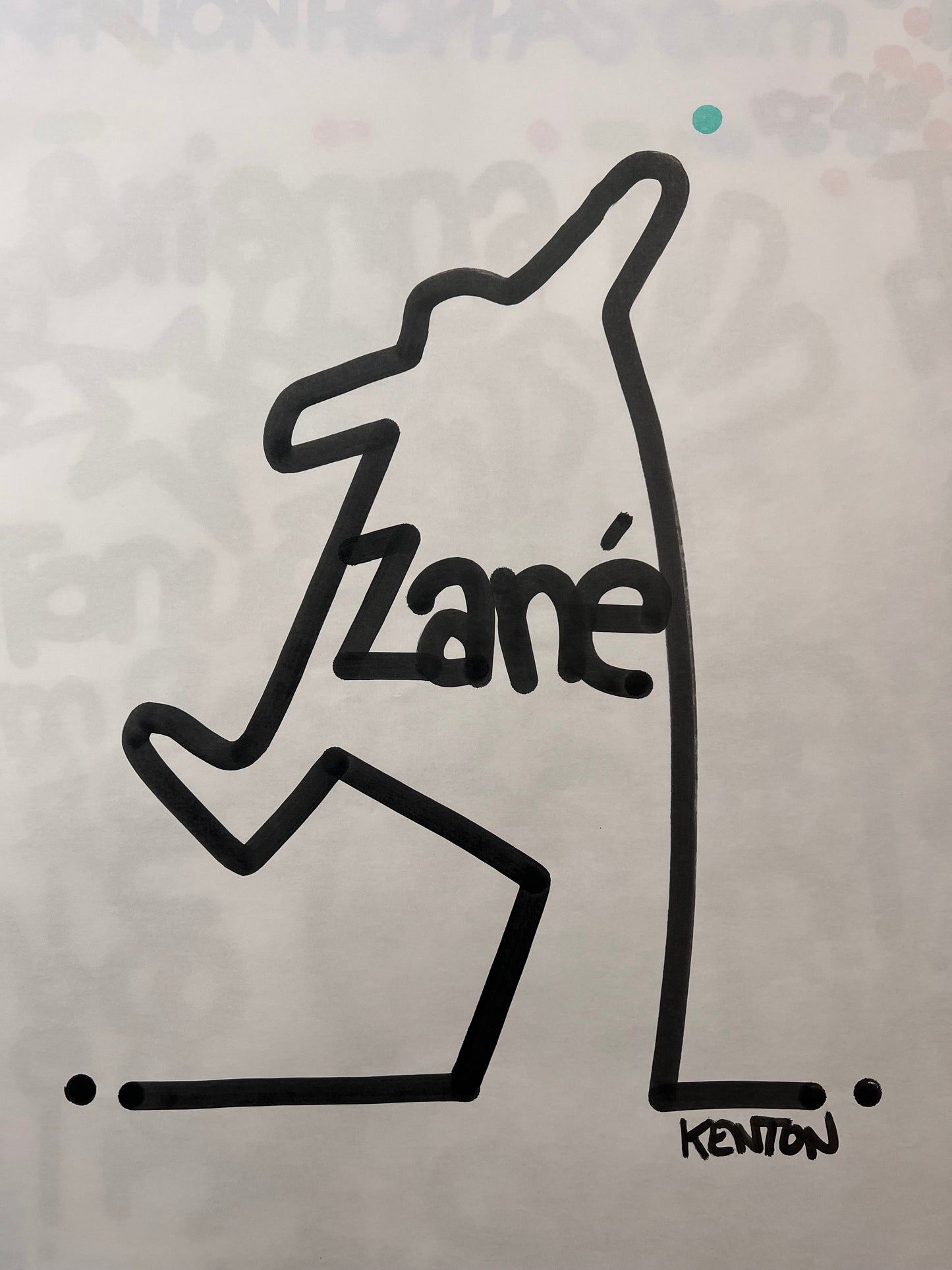 ZANÉ